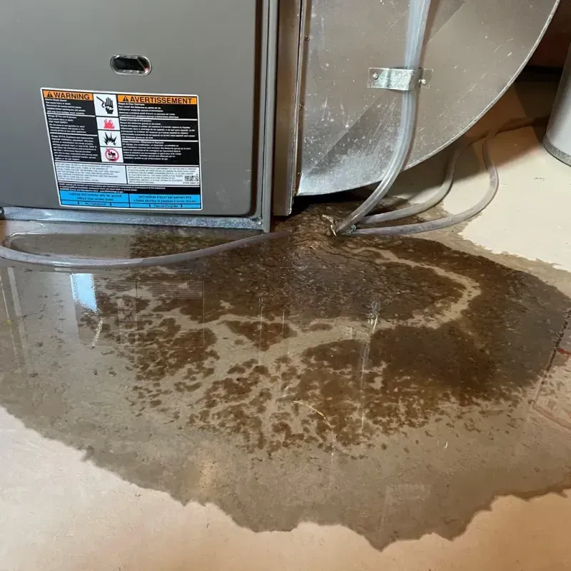 Appliance Leak Cleanup in Washburn, ND